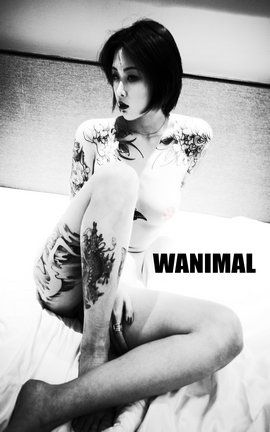 WANIMAL߶д  VIPͼ